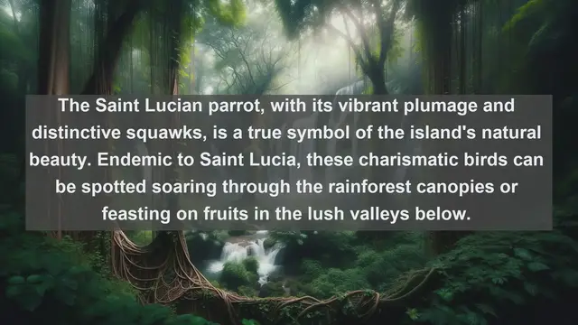 Video thumbnail for Top 10 native birds in Saint Lucia