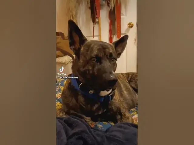 Video thumbnail for November 12, 2025