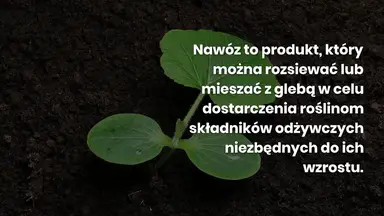 'Video thumbnail for 4 naturalne nawozy do nawożenia Twoich roślin'