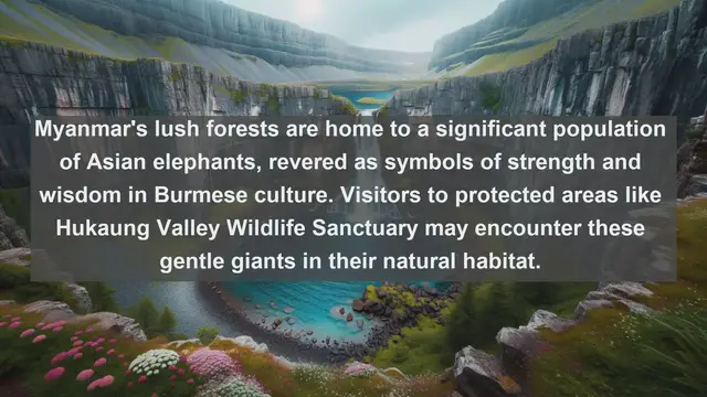 Video thumbnail for Exploring Myanmar's Wildlife: Top 10 Native Animals in the Land of Golden Temples