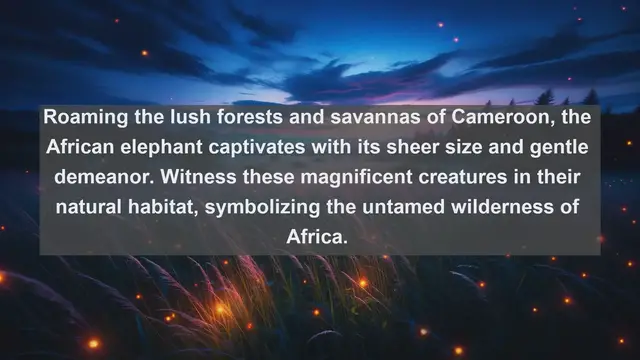 Video thumbnail for Exploring Cameroon's Wildlife Wonders: Top 10 Native Animals