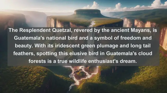 Video thumbnail for Exploring Guatemala's Biodiversity: Top 10 Native Animals You Need to See