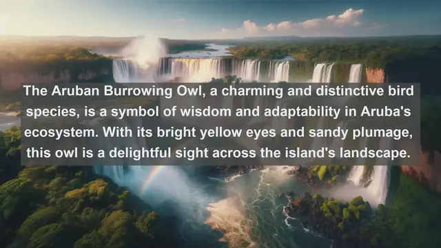 Video thumbnail for Discover the Enchantment: Top 10 Native Animals in Aruba