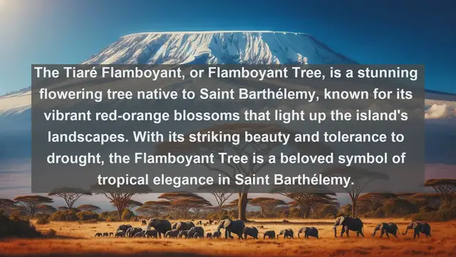 Video thumbnail for Exploring Saint Barthélemy's Flora: Top 10 Native Plants You Must See