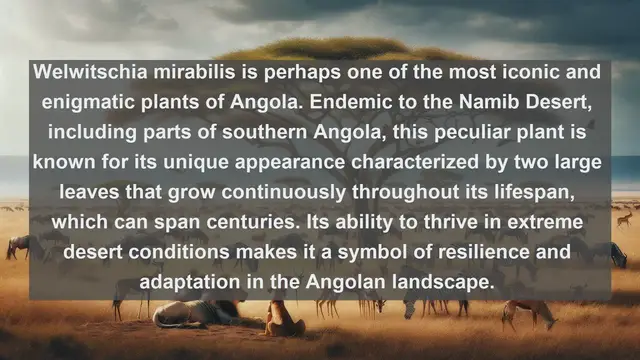 Video thumbnail for Exploring Angola's Natural Treasures: Top 10 Native Plants Revealed!