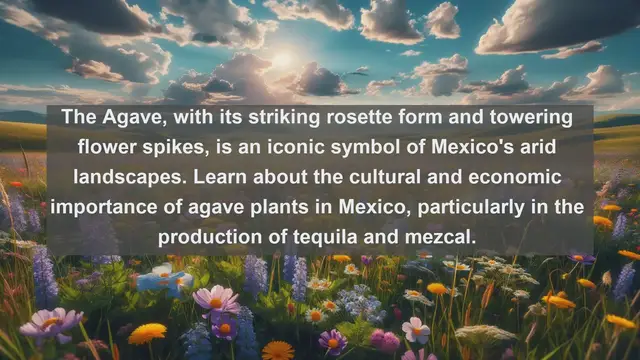 Video thumbnail for Unveiling Mexico's Botanical Treasures: Top 10 Native Flora Species