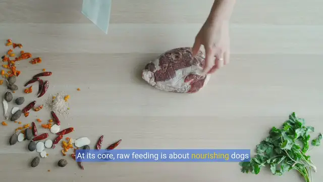 Video thumbnail for Unlocking the Benefits: A Guide to Raw Feeding for Dogs