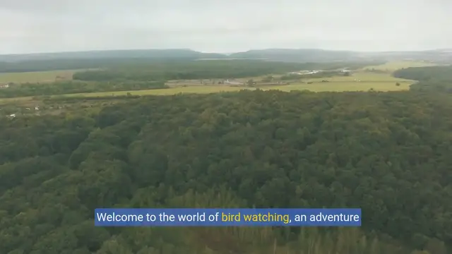 Video thumbnail for Bird Watching 101: A Beginner's Guide to Feathered Friends