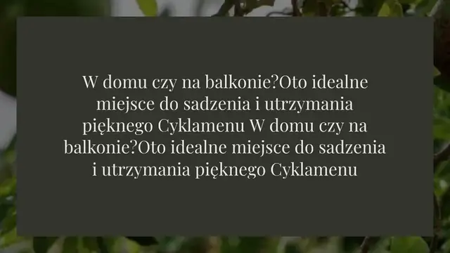 Video thumbnail for W domu czy na balkonie? Oto idealne miejsce do sadzenia i utrzymania pięknego Cyklamenu