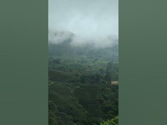 Video thumbnail for munnar###my car##my home ###nature