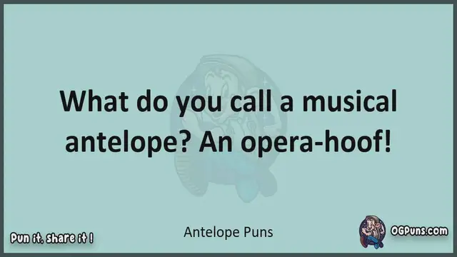 Video thumbnail for Antelope - Jokes, Puns, Wordplays, and Laughter