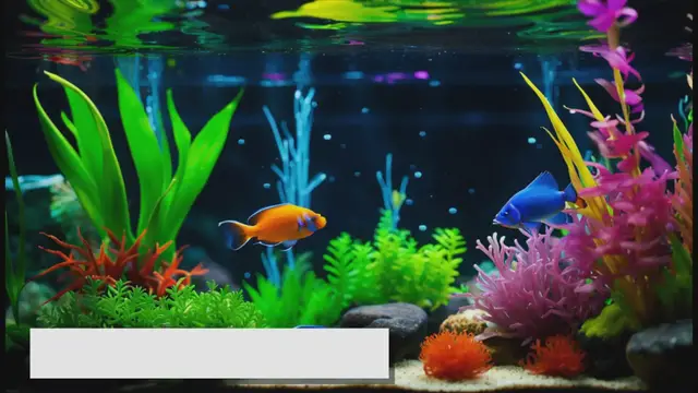 Video thumbnail for Essential Fish Tank Cleaning Supplies: A Comprehensive List