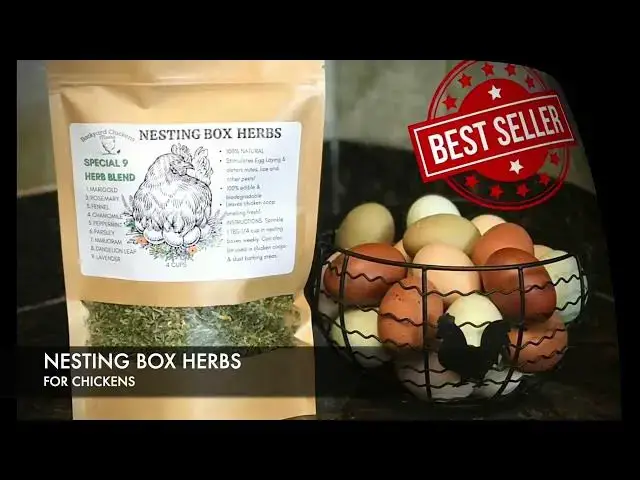 'Video thumbnail for Nesting Box Herbs for Healthy Chickens; Egg Laying and Molting Chickens'
