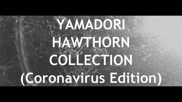 Video thumbnail for Yamadori Hawthorn Collection *In Lockdown* (Mame Bonsai Forest part 1 )