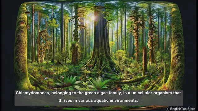 Video thumbnail for Chlamydomonas in biology