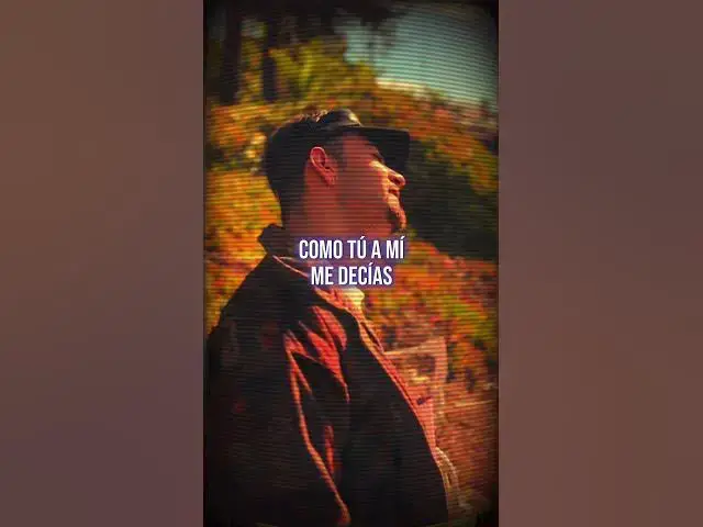 'Video thumbnail for D´FELINE'