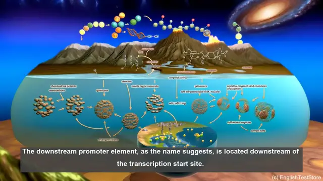 Video thumbnail for Downstream promoter element in biology - meaning, definition and examples