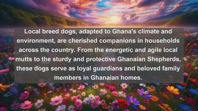 Video thumbnail for Exploring Ghana's Pet Culture: Top 10 Favorite Pets