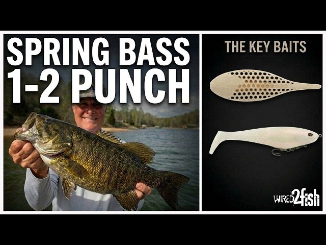 Video thumbnail for Use this Swimbait/Finesse Bait Combo for Big Spring Bass
