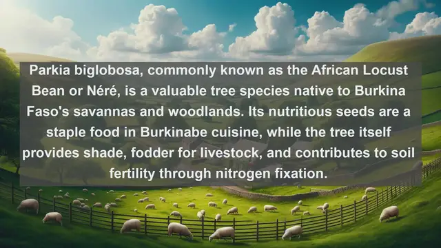 Video thumbnail for Unveiling Burkina Faso's Botanical Treasures: Top 10 Native Plants