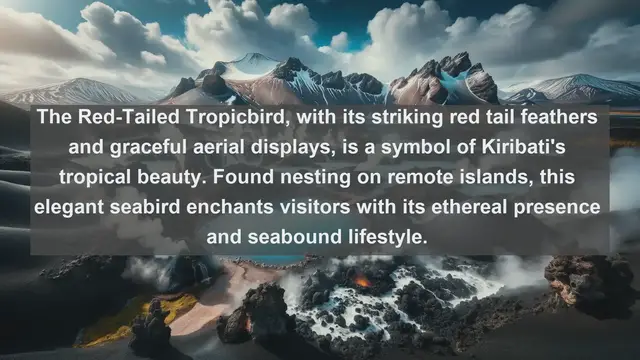 Video thumbnail for Exploring Kiribati's Avian Wonders: Top 10 Native Birds of the Pacific Paradise