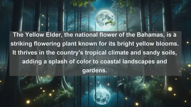 Video thumbnail for Discovering Bahamas' Botanical Wonders: Top 10 Native Plants