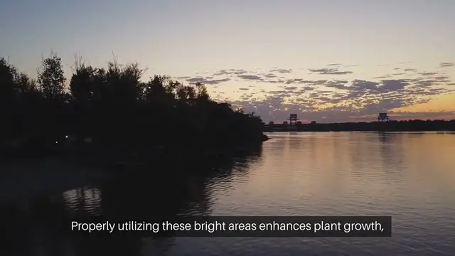 Video thumbnail for Gardening In Sunniest Spots