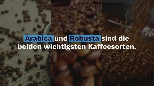 Video thumbnail for Kaffeesorten im Vergleich 2024: Exklusive Varietäten & beliebte Bohnen