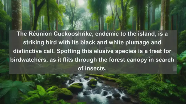 Video thumbnail for Discover Russia's Avian Splendor: Top 10 Native Birds You Need to See