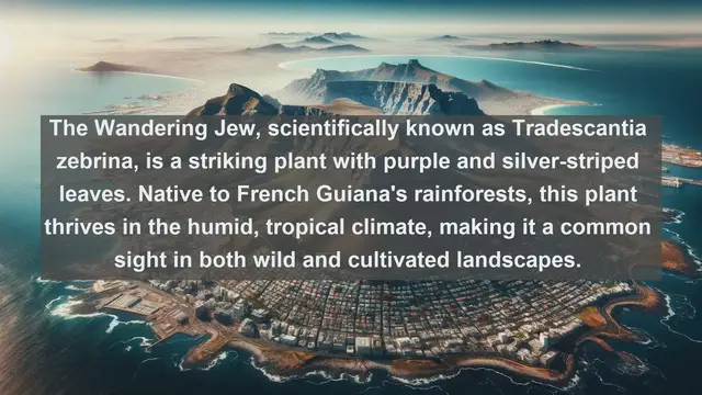 Video thumbnail for Exploring French Guiana's Biodiversity: Top 10 Native Flora Revealed