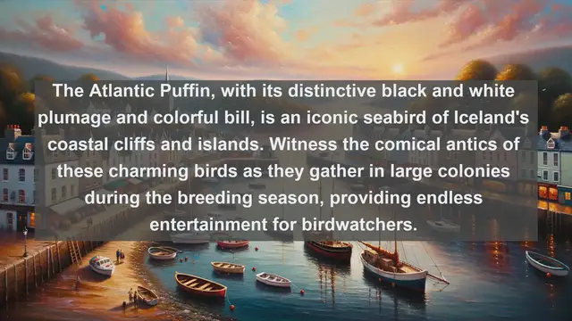 Video thumbnail for Top 10 native birds in Iceland