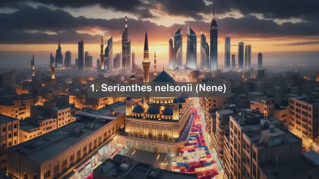 Video thumbnail for Discovering Nature's Treasures: Top 10 Native Flora in Northern Mariana Islands