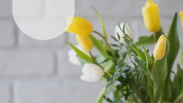 Video thumbnail for Zitronentorte mit selbstgemachten Lemon Curd