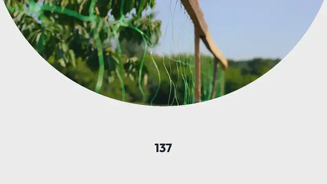 Video thumbnail for 26 Tasty Vegetables You Can Grow in Shady Gardens