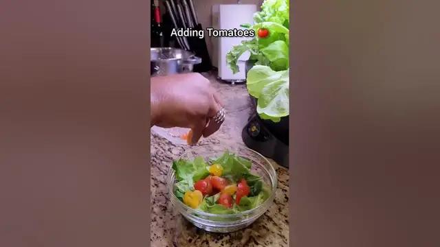 Video thumbnail for Aerogarden Hydroponics Indoor Gardening. Watch it grow salads greens mix seeds pods in just 3 weeks!