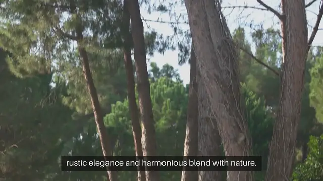 Video thumbnail for How To Design A Mediterranean-Style Garden