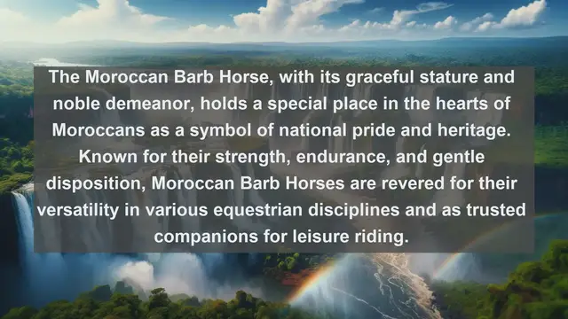 Video thumbnail for Discover Morocco's Most Beloved Companions: Top 10 Favorite Pets Revealed