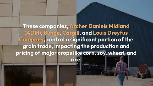'Video thumbnail for Four_Giants_of_Food_Supply'
