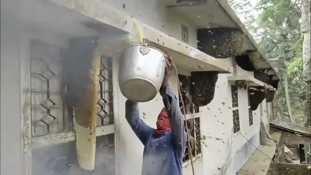 Video thumbnail for How to Get Rid of Bees