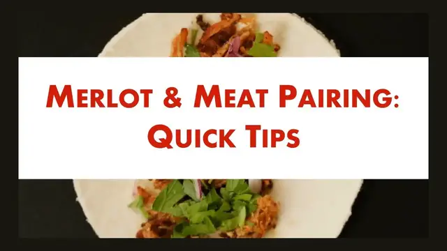'Video thumbnail for Merlot & Meat Pairing: Quick Tips 🍗🍷'