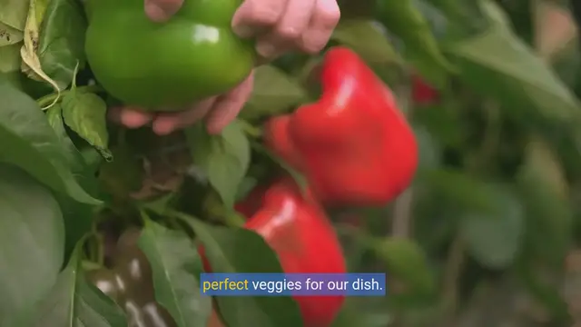 Video thumbnail for Master the Art of Veggie Delight: A Step-by-Step Cooking Tutorial