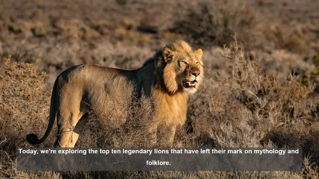 Video thumbnail for 10 Legendary Lions in Mythology and Folklore