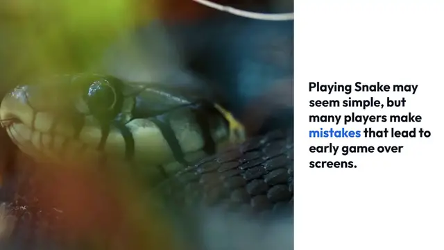 Video thumbnail for Avoid_Snake_Game_Mistakes