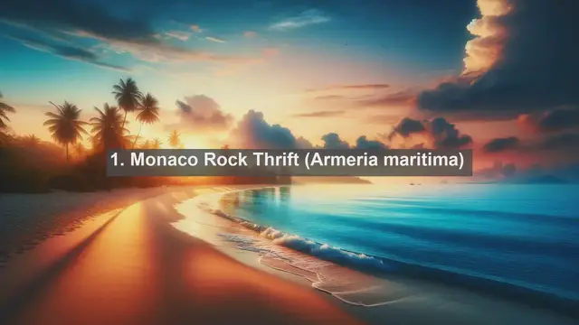 Video thumbnail for Revealing Monaco's Natural Gems: Top 10 Native Plants Unveiled