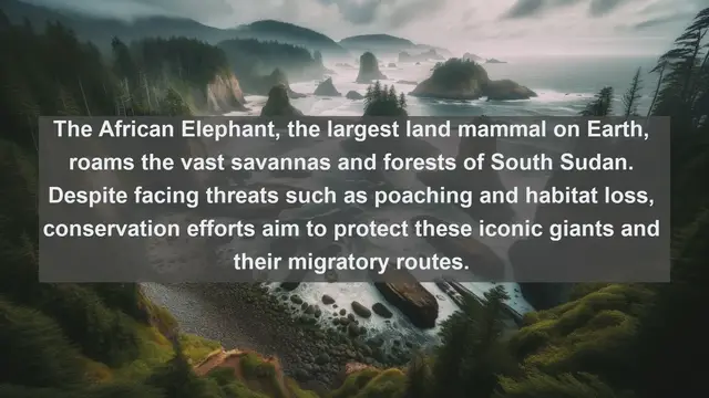 Video thumbnail for Discovering South Sudan's Natural Treasures: Top 10 Native Fauna