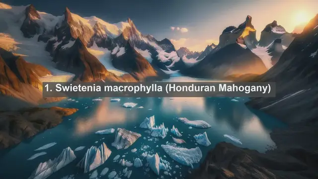 Video thumbnail for Exploring Honduras' Botanical Treasures: Top 10 Native Plants