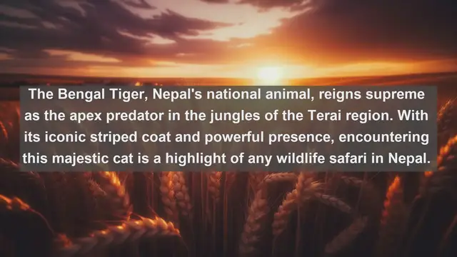 Video thumbnail for Discover Nepal's Natural Wonders: Top 10 Native Animals You Must See!