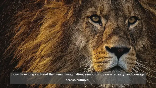 Video thumbnail for 10 Cultural Lion Symbols in Central Asia