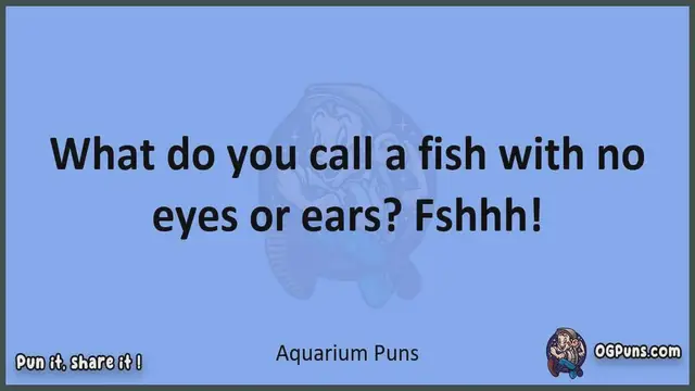 Video thumbnail for Aquarium - Jokes, Puns, Wordplays, and Laughter
