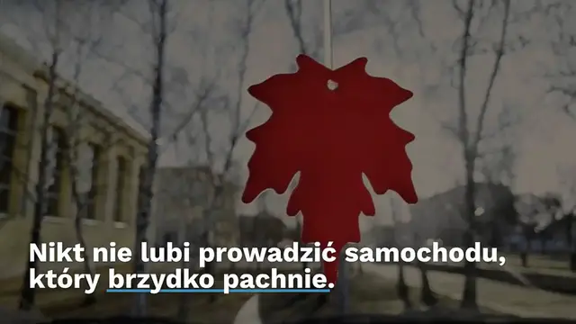 Video thumbnail for Umieść spinacz do bielizny w siatce grzewczej: sztuczka, która rozwiązuje duży problem